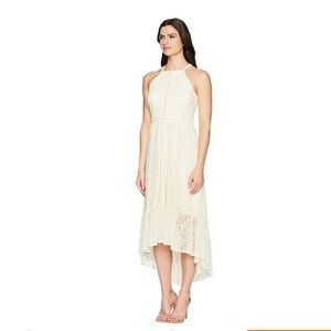 Vince Camuto Cream Lace Dress